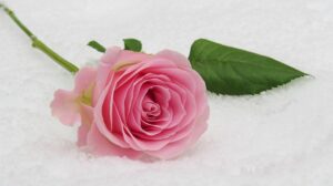 Highlighting the Beauty of a Winter Wedding